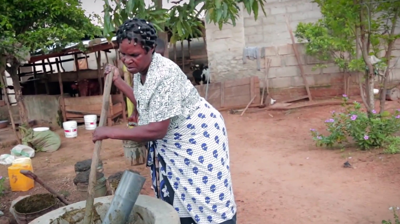 Mujeres africanas transforman el estiércol en una oportunidad de producir energía sostenible