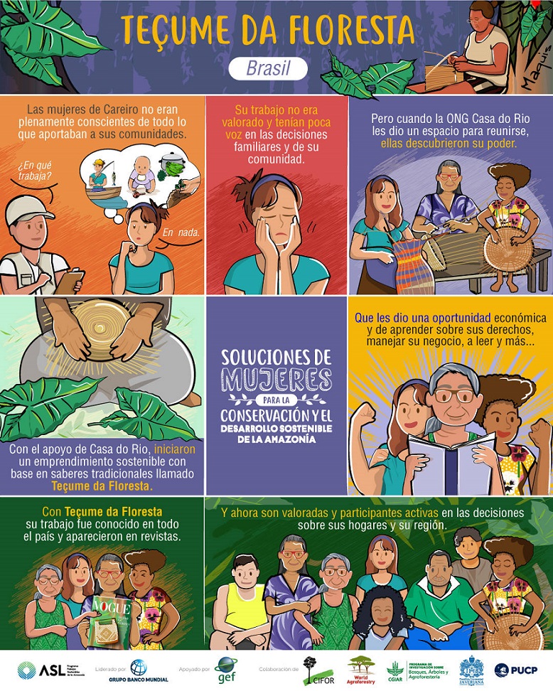 Soluciones de Mujeres : Historias visuales