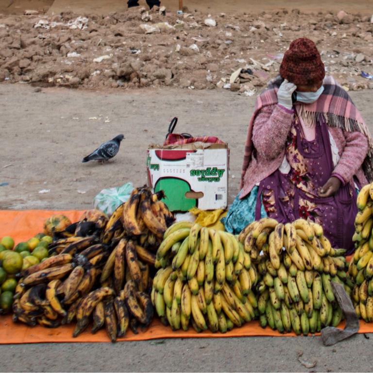 Mujer vende frutas en el suelo de una calle en Patacamaya, Bolivia 