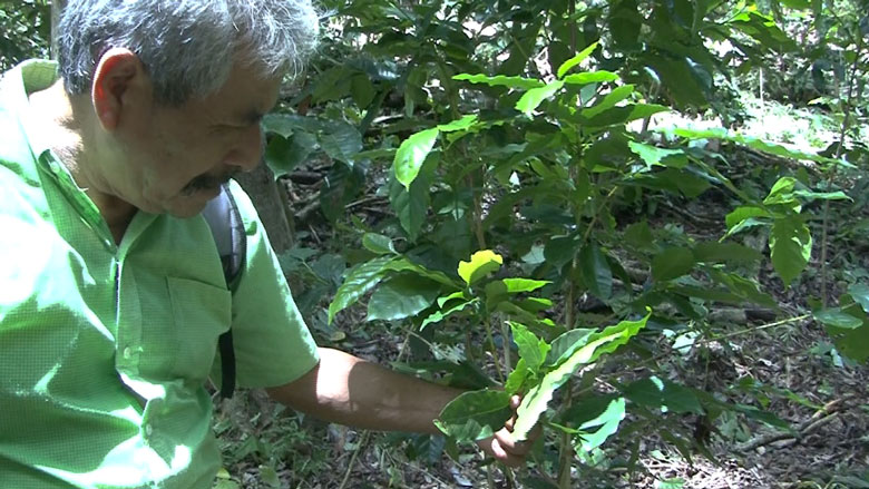 Un café más fuerte con cacao y chile