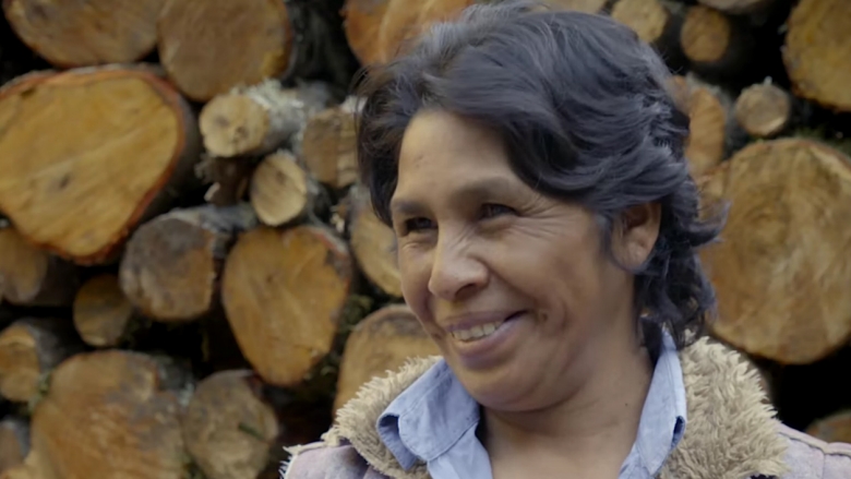 Ver los frutos de la protección de los bosques en México