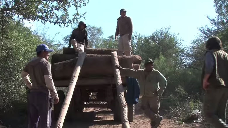 Un asado con carbón ecológico: ¿receta para proteger los bosques?