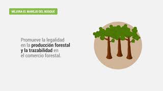 Proyecto Bosques Nativos y Comunidad