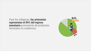 Comunidades altamente vulnerables habitan los bosques y dependen de sus recursos