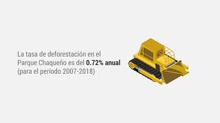 La deforestación amenaza al Parque Chaqueño