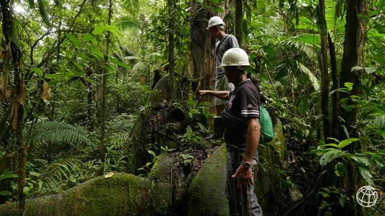 La conservación de los bosques de Costa Rica genera beneficios